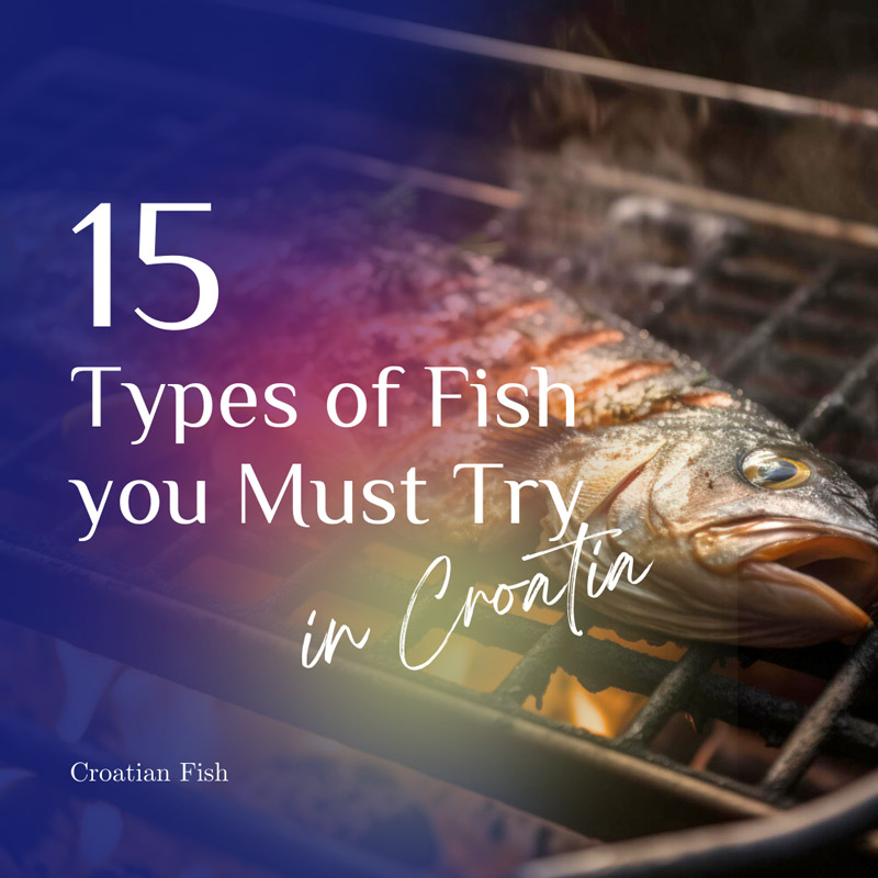Croatian Fish: 15 Types of Fish You Must Try in Croatia